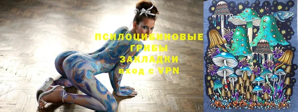 СК Медногорск