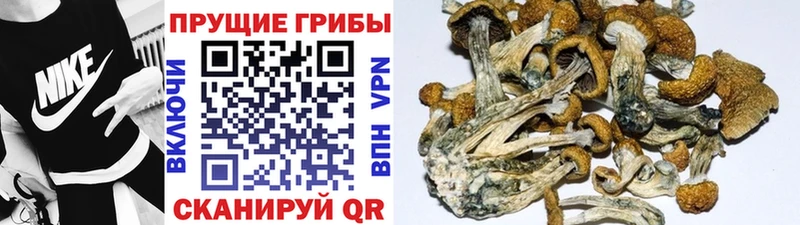 Псилоцибиновые грибы ЛСД  Тюкалинск 