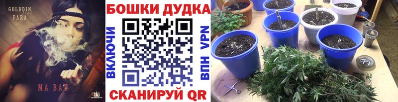 Шишки марихуана AK-47  закладки  Тюкалинск 